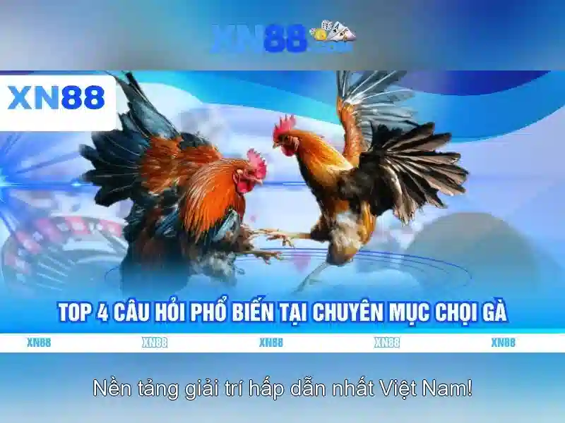 Giao-dien-dang-ky-xn88-tren-dien-thoai