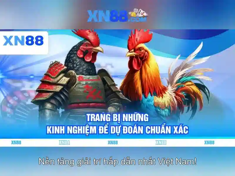 Các trò chơi và tính năng