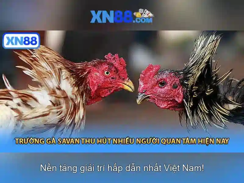 xn88 - Nền tảng giải trò chơi giải trí và trực tuyến