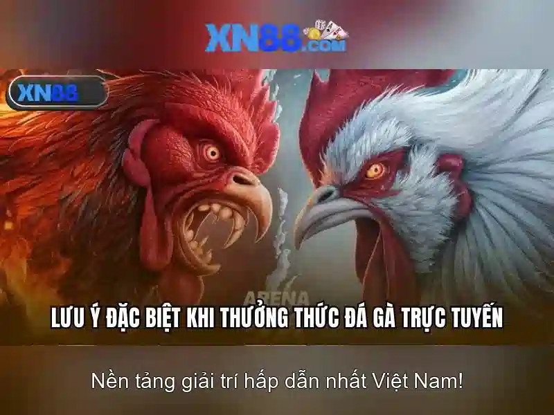 Nền tảng và cơ sở hạ tầng