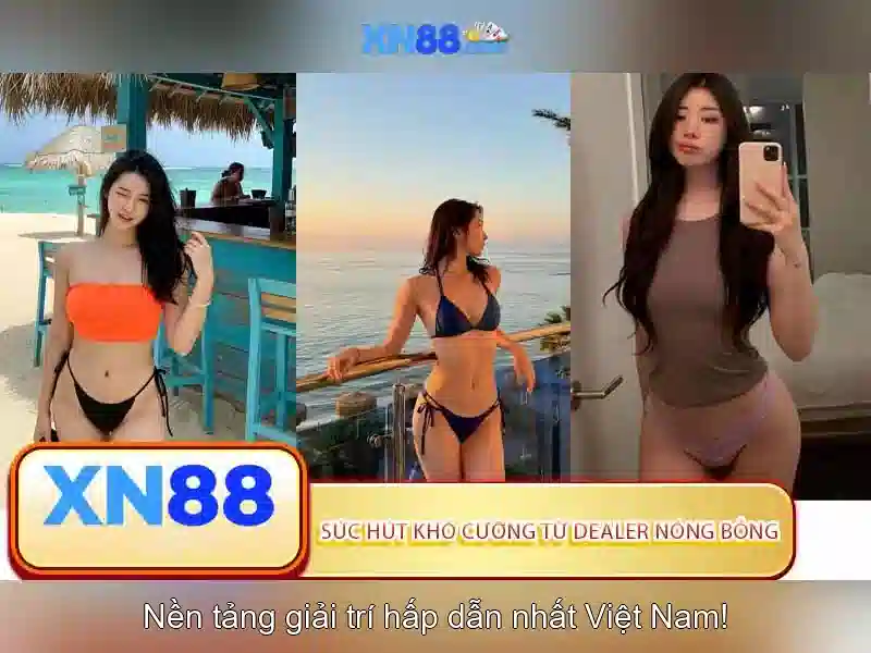 Cung cấp sản phẩm và dịch vụ