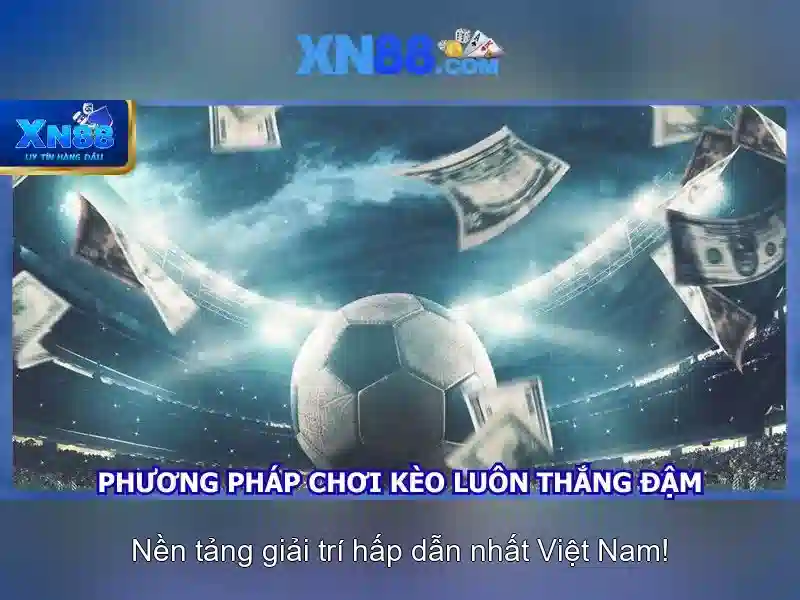 Đánh giá từ người dùng