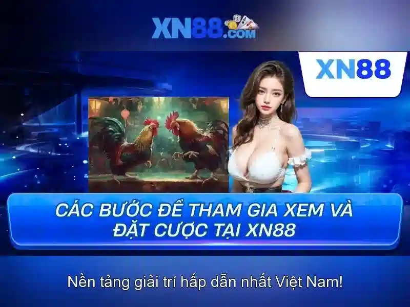 Xn88 là gì?
