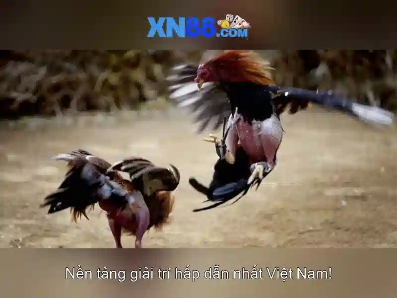 xn88: Nền tảng trò chơi trực tuyến