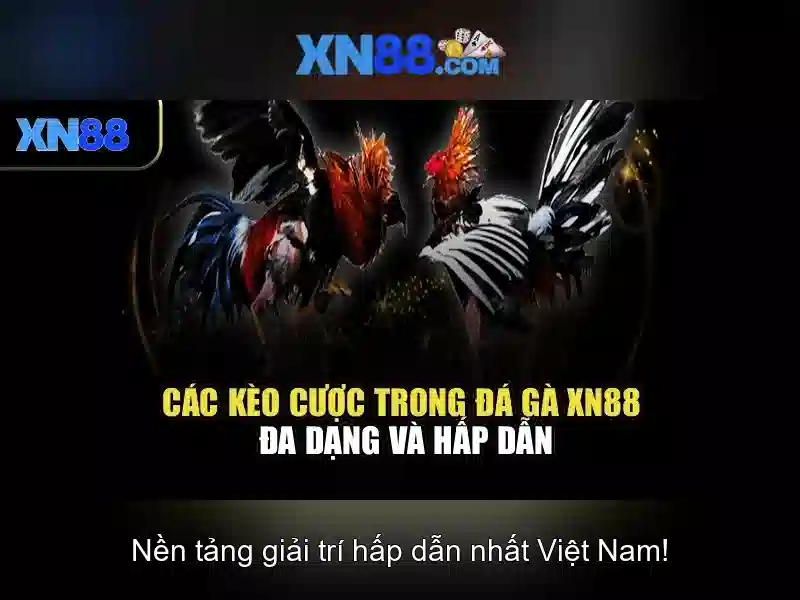 Giới thiệu xn88: Nền tảng giải trí và công nghệ