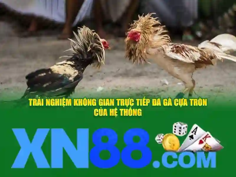 Xn88: Nền tảng game trực tuyến và đánh giá tổng quan